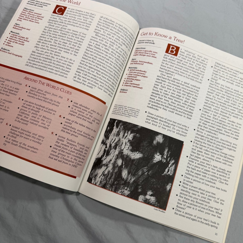 Ranger Rick NatureScope Trees Are Terrific Vintage Education Guide Vol 2 No 1 - Picture 4 of 7